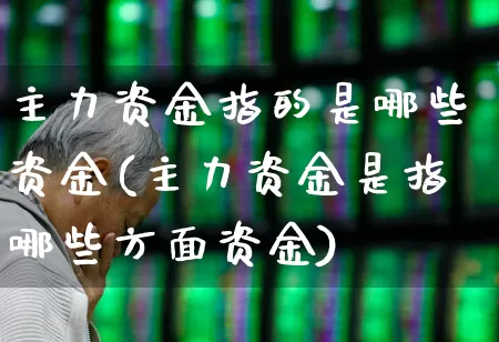 主力资金指的是哪些资金(主力资金是指哪些方面资金)_https://www.ljyuan-tech.com_北交所_第1张