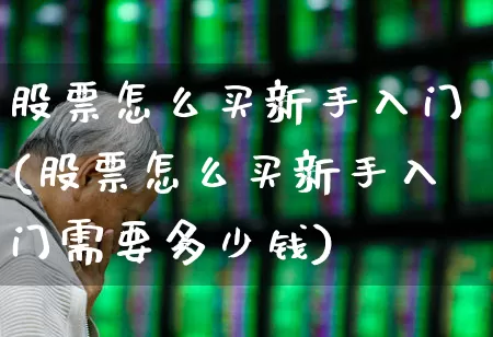 股票怎么买新手入门(股票怎么买新手入门需要多少钱)_https://www.ljyuan-tech.com_上交所_第1张