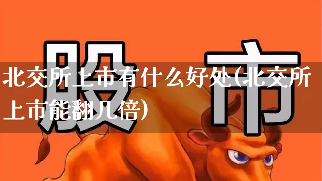 北交所上市有什么好处(北交所上市能翻几倍)_https://www.ljyuan-tech.com_上交所_第1张