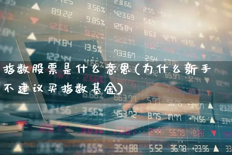 指数股票是什么意思(为什么新手不建议买指数基金)_https://www.ljyuan-tech.com_北交所_第1张