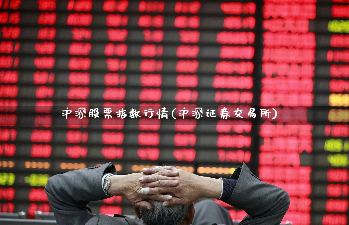 沪深股票指数行情(沪深证券交易所)_https://www.ljyuan-tech.com_创业板_第1张