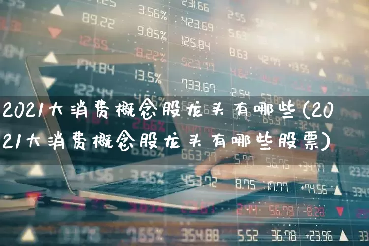 2021大消费概念股龙头有哪些(2021大消费概念股龙头有哪些股票)_https://www.ljyuan-tech.com_创业板_第1张