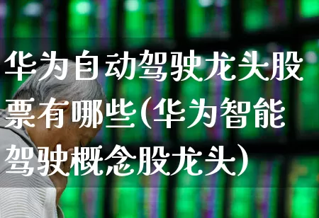 华为自动驾驶龙头股票有哪些(华为智能驾驶概念股龙头)_https://www.ljyuan-tech.com_北交所_第1张
