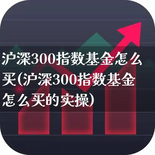 沪深300指数基金怎么买(沪深300指数基金怎么买的实操)_https://www.ljyuan-tech.com_深交所_第1张