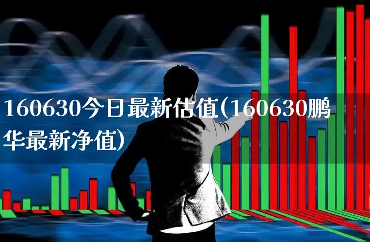 160630今日最新估值(160630鹏华最新净值)_https://www.ljyuan-tech.com_创业板_第1张