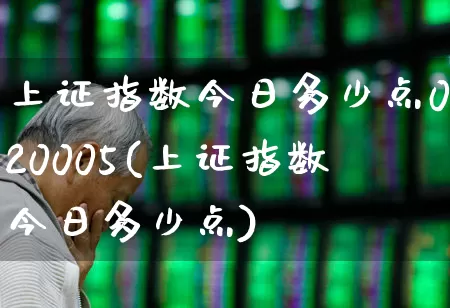 上证指数今日多少点020005(上证指数今日多少点)_https://www.ljyuan-tech.com_深交所_第1张