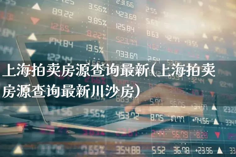 上海拍卖房源查询最新(上海拍卖房源查询最新川沙房)_https://www.ljyuan-tech.com_深交所_第1张
