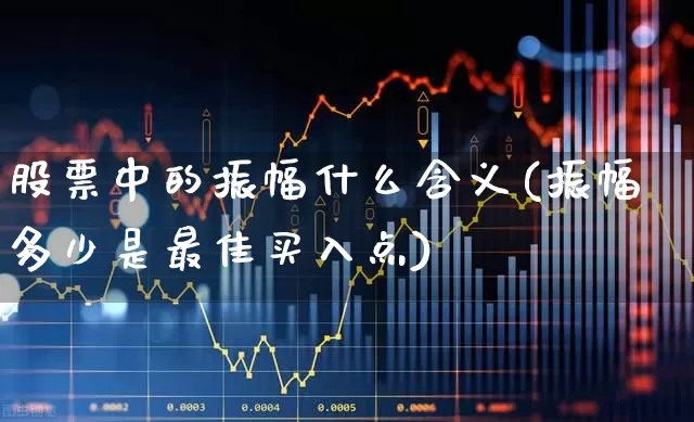 股票中的振幅什么含义(振幅多少是最佳买入点)_https://www.ljyuan-tech.com_深交所_第1张
