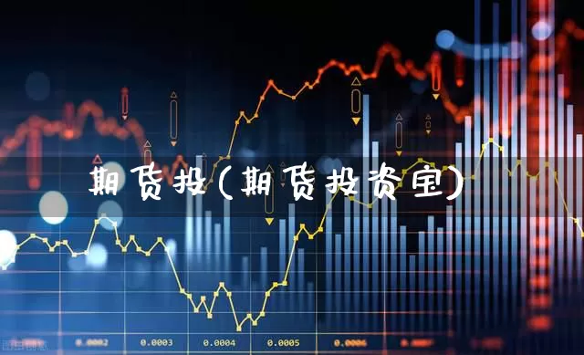 期货投(期货投资宝)_https://www.ljyuan-tech.com_深交所_第1张