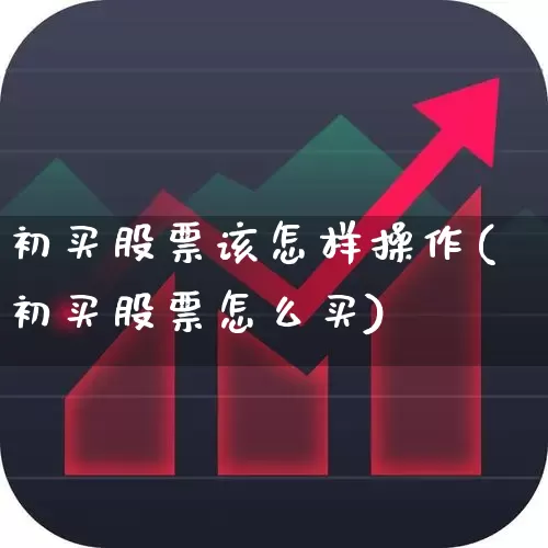 初买股票该怎样操作(初买股票怎么买)_https://www.ljyuan-tech.com_深交所_第1张