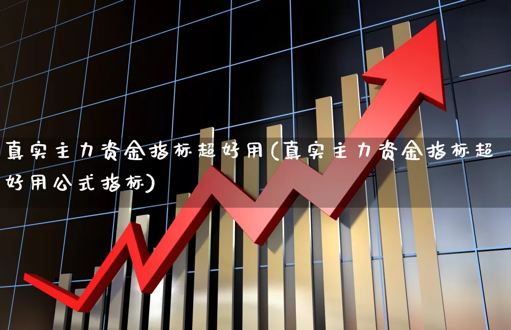 真实主力资金指标超好用(真实主力资金指标超好用公式指标)_https://www.ljyuan-tech.com_深交所_第1张