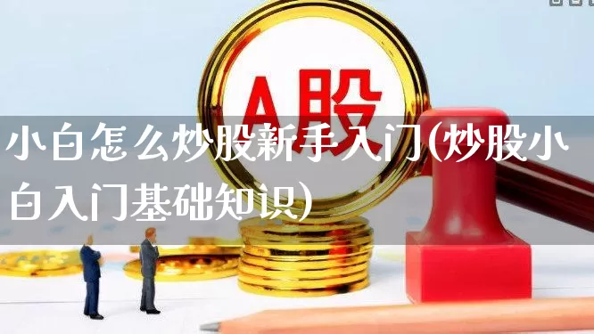 小白怎么炒股新手入门(炒股小白入门基础知识)_https://www.ljyuan-tech.com_创业板_第1张