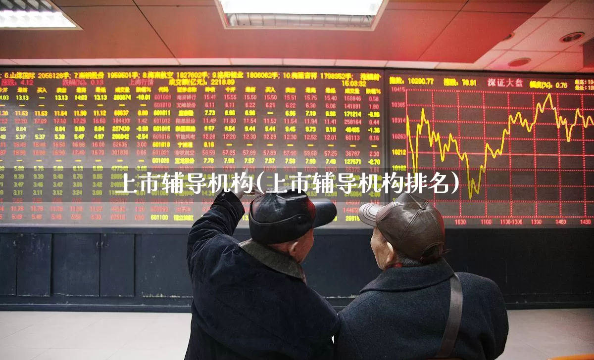 上市辅导机构(上市辅导机构排名)_https://www.ljyuan-tech.com_上交所_第1张
