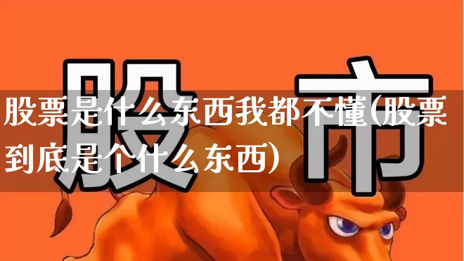 股票是什么东西我都不懂(股票到底是个什么东西)_https://www.ljyuan-tech.com_科创板_第1张