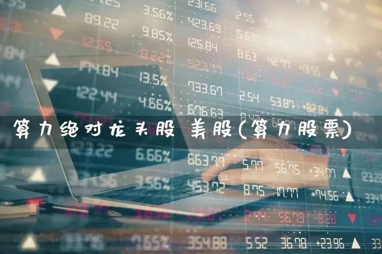 算力绝对龙头股 美股(算力股票)_https://www.ljyuan-tech.com_创业板_第1张