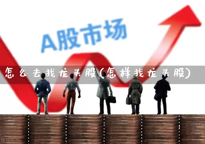 怎么去找龙头股(怎样找龙头股)_https://www.ljyuan-tech.com_创业板_第1张