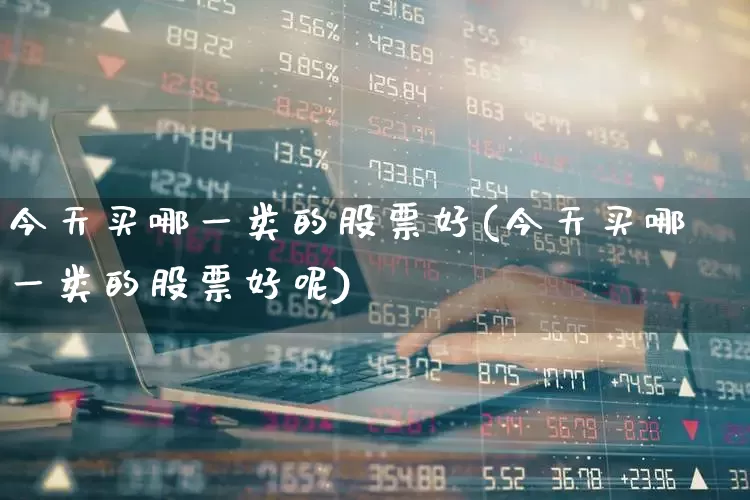 今天买哪一类的股票好(今天买哪一类的股票好呢)_https://www.ljyuan-tech.com_北交所_第1张