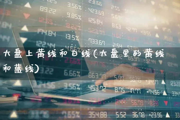 大盘上黄线和白线(大盘里的黄线和蓝线)_https://www.ljyuan-tech.com_创业板_第1张