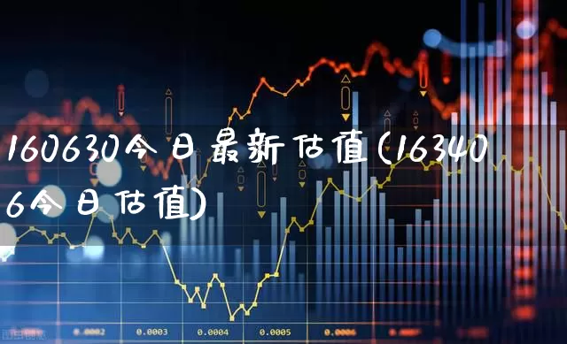 160630今日最新估值(163406今日估值)_https://www.ljyuan-tech.com_上交所_第1张