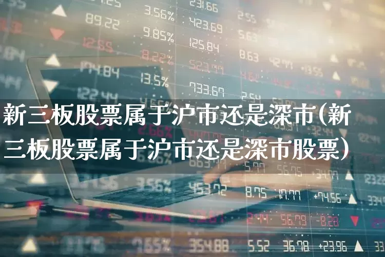新三板股票属于沪市还是深市(新三板股票属于沪市还是深市股票)_https://www.ljyuan-tech.com_深交所_第1张