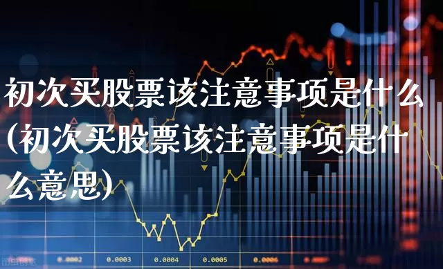 初次买股票该注意事项是什么(初次买股票该注意事项是什么意思)_https://www.ljyuan-tech.com_深交所_第1张