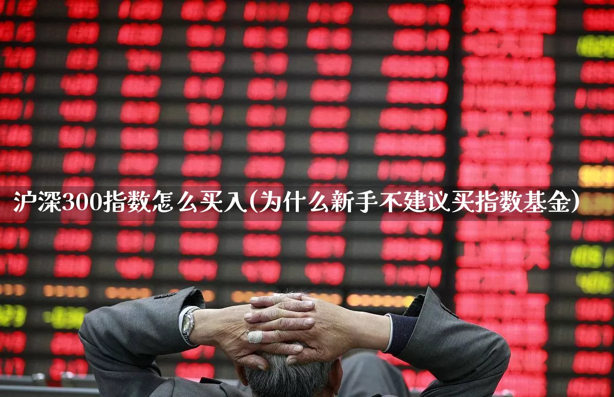 沪深300指数怎么买入(为什么新手不建议买指数基金)_https://www.ljyuan-tech.com_上交所_第1张