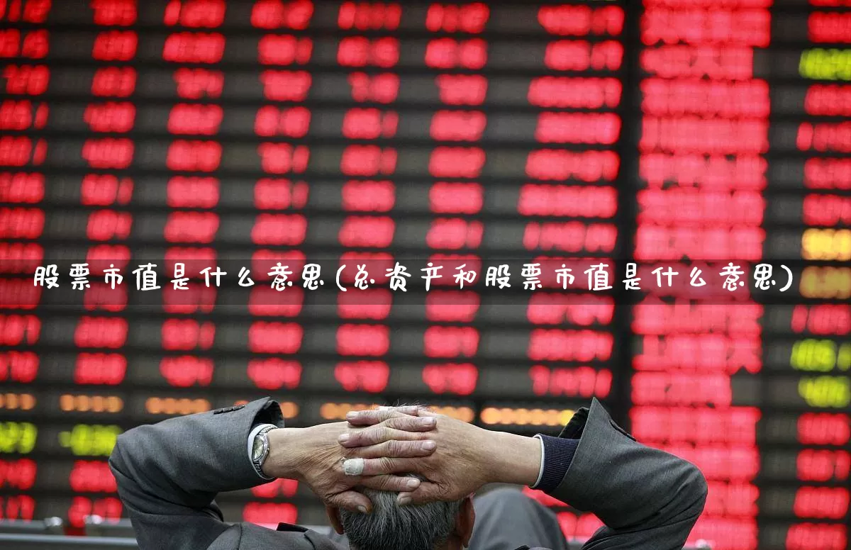 股票市值是什么意思(总资产和股票市值是什么意思)_https://www.ljyuan-tech.com_上交所_第1张