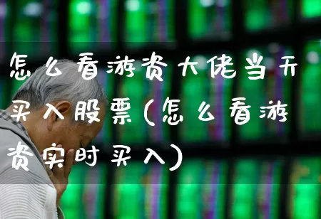 怎么看游资大佬当天买入股票(怎么看游资实时买入)_https://www.ljyuan-tech.com_北交所_第1张