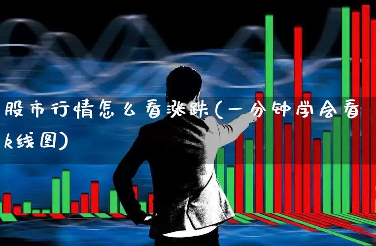 股市行情怎么看涨跌(一分钟学会看k线图)_https://www.ljyuan-tech.com_上交所_第1张