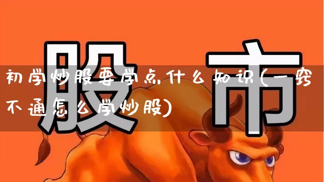 初学炒股要学点什么知识(一窍不通怎么学炒股)_https://www.ljyuan-tech.com_科创板_第1张