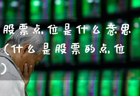 股票点位是什么意思(什么是股票的点位)_https://www.ljyuan-tech.com_北交所_第1张