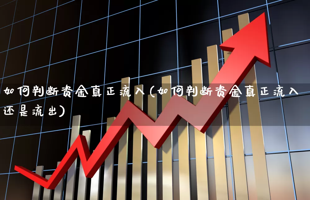 如何判断资金真正流入(如何判断资金真正流入还是流出)_https://www.ljyuan-tech.com_科创板_第1张