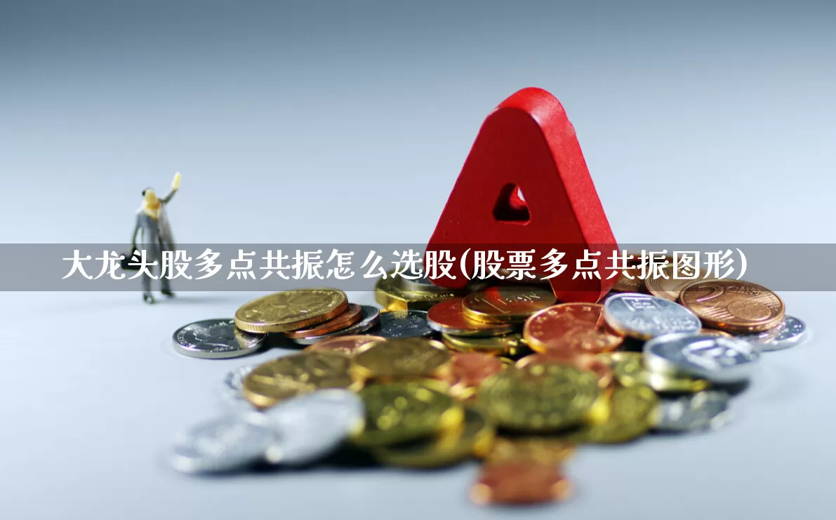 大龙头股多点共振怎么选股(股票多点共振图形)_https://www.ljyuan-tech.com_深交所_第1张
