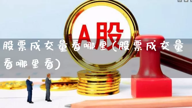 股票成交量看哪里(股票成交量看哪里看)_https://www.ljyuan-tech.com_深交所_第1张