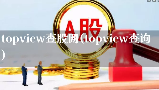 topview查股网(topview查询)_https://www.ljyuan-tech.com_创业板_第1张