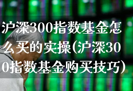 沪深300指数基金怎么买的实操(沪深300指数基金购买技巧)_https://www.ljyuan-tech.com_北交所_第1张