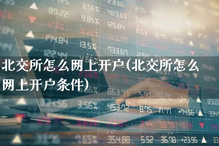 北交所怎么网上开户(北交所怎么网上开户条件)_https://www.ljyuan-tech.com_深交所_第1张