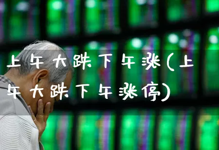 上午大跌下午涨(上午大跌下午涨停)_https://www.ljyuan-tech.com_深交所_第1张