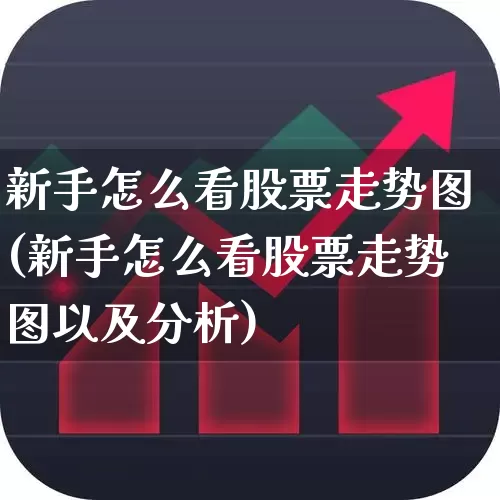 新手怎么看股票走势图(新手怎么看股票走势图以及分析)_https://www.ljyuan-tech.com_上交所_第1张
