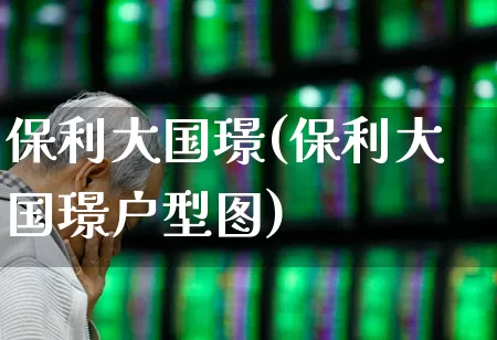 保利大国璟(保利大国璟户型图)_https://www.ljyuan-tech.com_科创板_第1张
