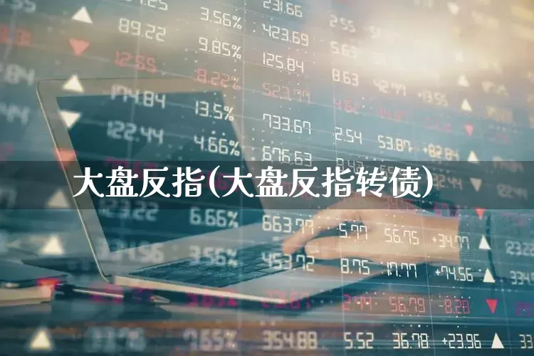 大盘反指(大盘反指转债)_https://www.ljyuan-tech.com_深交所_第1张