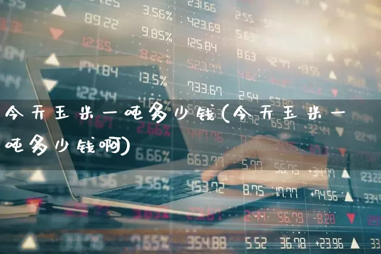 今天玉米一吨多少钱(今天玉米一吨多少钱啊)_https://www.ljyuan-tech.com_科创板_第1张