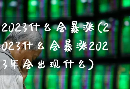 2023什么会暴涨(2023什么会暴涨2023年会出现什么)_https://www.ljyuan-tech.com_北交所_第1张