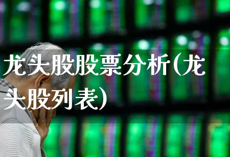 龙头股股票分析(龙头股列表)_https://www.ljyuan-tech.com_北交所_第1张