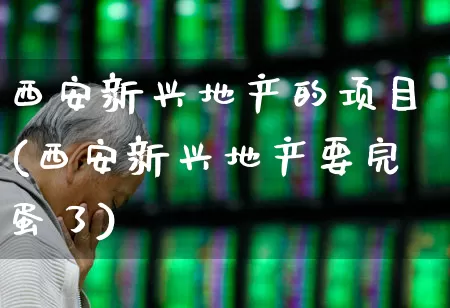 西安新兴地产的项目(西安新兴地产要完蛋了)_https://www.ljyuan-tech.com_科创板_第1张