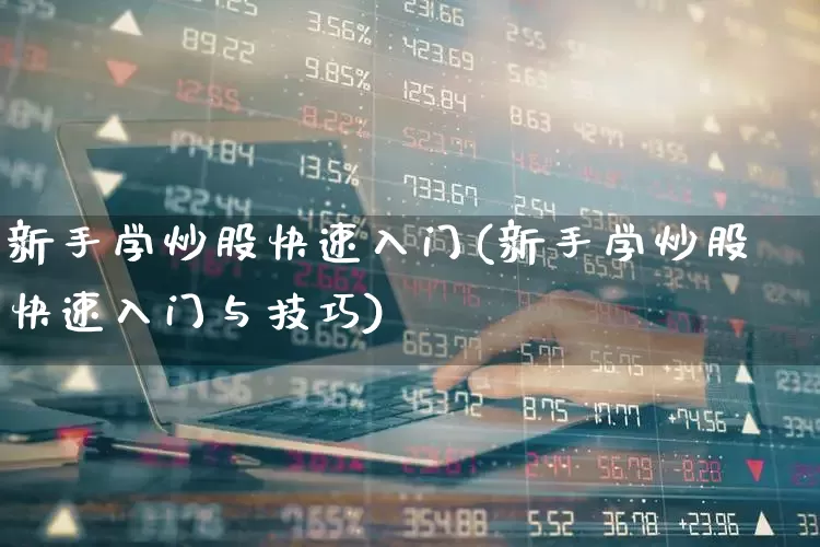 新手学炒股快速入门(新手学炒股快速入门与技巧)_https://www.ljyuan-tech.com_北交所_第1张