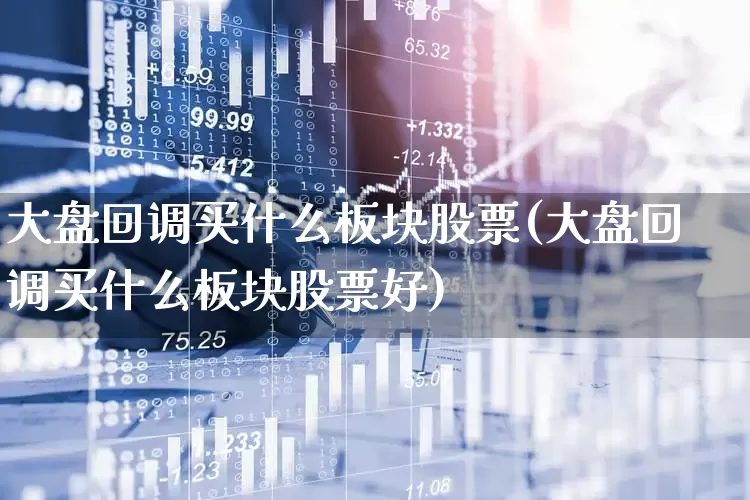 大盘回调买什么板块股票(大盘回调买什么板块股票好)_https://www.ljyuan-tech.com_北交所_第1张