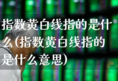 指数黄白线指的是什么(指数黄白线指的是什么意思)_https://www.ljyuan-tech.com_北交所_第1张