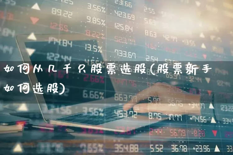 如何从几千只股票选股(股票新手如何选股)_https://www.ljyuan-tech.com_创业板_第1张