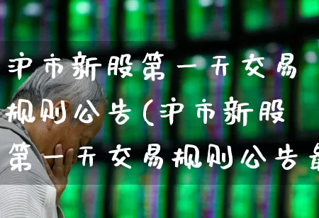 沪市新股第一天交易规则公告(沪市新股第一天交易规则公告最新)_https://www.ljyuan-tech.com_科创板_第1张